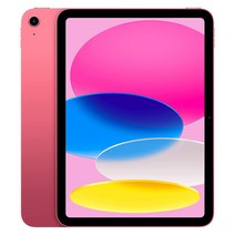 애플 아이패드 10세대 27.5cm WiFi 64GB / 256GB (관부가세포함_미국정품), 10세대 64GB-핑크