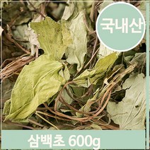 푸들 전통차 말린 삼백초 약초 600g 삼계탕 영양 비누 건강 (7563935), 기본