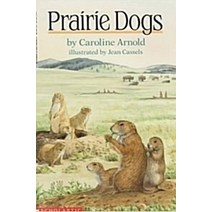 [개똥이네][중고-중] Prairie Dogs