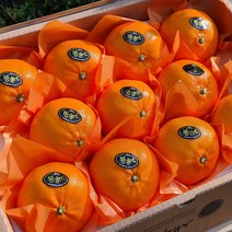 제주 천혜향 3kg(9~13수 고급이중포장 ) 그윽한 향과 팡팡 터지는 과즙 품격있는, 1박스