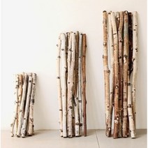 자작나무 스틱유목 두께3cm 길이 20cm 30cm 45cm 60cm