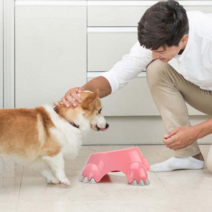 리포웰 강아지 고양이 밥그릇 애견 반려견 식기 사료용기 소형견 중형견 대형견, 중형, 라임