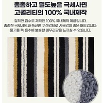 laterior 먼지없는 매트