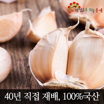의성 햇밭마늘 소2접 4kg 국내산100% 2023년산 50년 전통 의성고추마늘동네