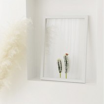 아조 스토어 선인장 투명식물액자 입체 꽃 집들이선물 거실인테리어