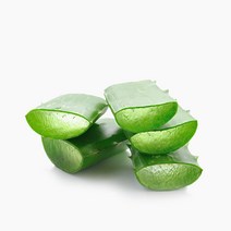 왓솝 알로에베라겔 (500g), 알로에베라겔500g-1개
