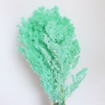 음식모형제작 자연 건조 보존 풍래 영원한 아스파 미리오클라두스 꽃다발, 1.blue