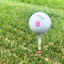 볼마커 골프공스탬프 골프공도장 악세사리 캐디용품, 사자, 기본박스, 파랑