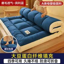 허리에좋은매트리스 토퍼 저가 허리디스크 매트리스 콩 섬유 매트리스 쿠션 홈 침실 매트리스 매트리스 매트리스 매트리스 학생 기숙사 임대 특별 층