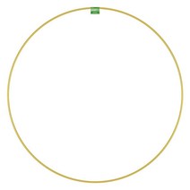 FloraCraft 와이어 리스 링 20.3cm(8인치) 골드, 36