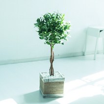 월계수나무화분set 90cm OF(3-3) 조화 나무 실내조경, OF(3-3) B타입-2637179 34