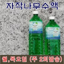 [자작나무추출물] ( 22년산 ) 무병장수 자작나무수액 100% (냉동), 1.5리터 X 10병
