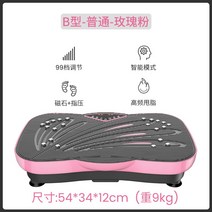 음파진동기 전신 뱃살 쉐이크 덜덜이 음파 운동기구 홈트 다이어트 기구, 스탠다드B/로즈핑크/4대기능/99단 인버터/