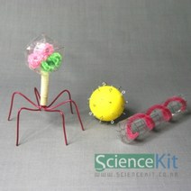 바이러스 4인세트 실험교구 모형 과학수업 영재 만들기 키트, 본상품, 본상품