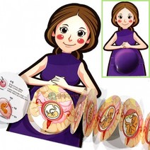 인체의신비 - 태아발달과정 (1인용 포장)