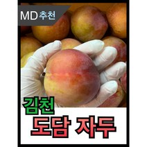 [제철과일] 김천 도담 자두 새콤달콤 산지직송 김천자두, 2kg(23~30과), 1개