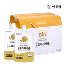 연두팜 BIG 아빠의주스 대용량 도라지배즙 180ml 30개입 한박스, 30개