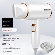 미용실 전기 드라이기 가정용 이발소 고출력 음이온 헤어케어 무음 드라이기 속건, 공식80백만Anion-48000R바람화이트