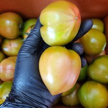 부산 대저 짭짤이 토마토 2.5kg 짭짜리 5kg, 짭짤이 토마토 L/M 랜덤5kg