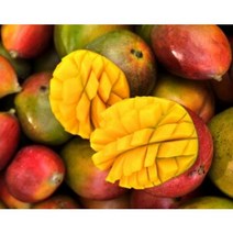 [망고맛집] 산지직송 고품격 제주애플망고 선물용 가정용 미니애플망고 2kg/3kg, 2kg(4~7과)
