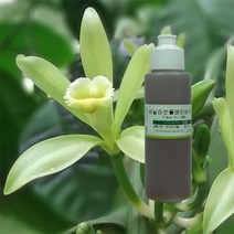 [아로마케이] 플레이버오일 20ml 립밤 만들기재료 향오일, 비닐라맛20ml