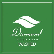 [커피생두] 파나마 에스메랄다 다이아몬드 마운틴 내츄럴 1KG