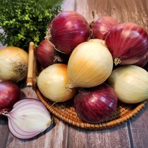 친환경 마음밭 국내산 유기농 무농약 노지 햇 자색 흰 양파 3kg 5kg 10kg, 흰양파(대) 5kg