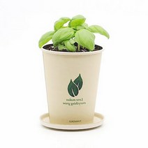 봉선화 틔움세상 화분재배키트 에코컵가든 꽃집사 식물키우기