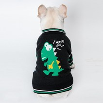 골든독 공룡가디건 XS-5XL 프렌치불독 웰시코기 시바견 아메리칸불리 슈나우저 소형견 중형견 착용가능 옷
