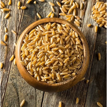 정품 카무트 쌀 고대곡물 기능성쌀 (1kgX5개), 단품