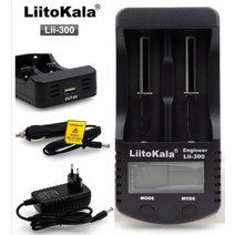 배터리파워뱅크 220v 인산철 캠핌용 충전기 차박 220v 차박용 800w gps 대용량 272, lii-300 풀 세트