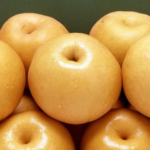 햇배피아 배선물세트 프리미엄 햇배 나주배 7.5kg 보자기 무료동봉, 나주배 7.5kg 실속형(13~15과)