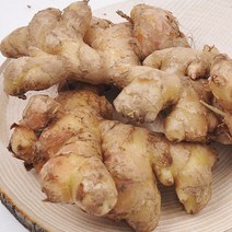[산지직송] 충남 서산 전영운님의 토종생강 2kg, 단품