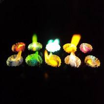 원소불꽃반응(시료10종)-지학사 중2교과과정(1인용)-DES