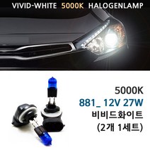 5000K 비비드화이트 현대 뉴투싼IX 13-15년 전조등 상향등 하향등 안개등 자동차램프, 5000K 뉴투싼IX 안개등 881(2개1세트), 1세트