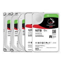 개인용 가정용 NAS nas 나스 서버 구축 네트워크 하드 seagate - pro, 12TB용