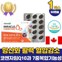 항산화 활력 비타민 높은 혈압 감소 코엔자임큐10 임신준비 코큐텐 코엠자임 유비퀴놀 영양제 식약처 인증 코엔자임 Q10 큐텐 60캡슐 건강기능식품 청소년 50대 60대 부모님 40대