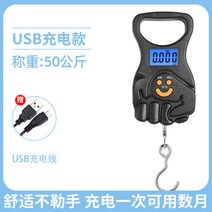 가정용 초소형 저울 기중기 계량기구 카페 매달림 무게, 주먹 충전  50kg + USB 케이블