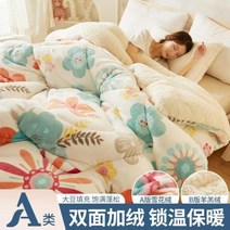 봄이불 양털 벨벳 이불 겨울 코어 두껍고 따뜻한 기숙사 봄과 가을 더블 공간