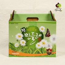 흰민들레즙 1박스 (100ml x 60포), 1개