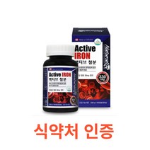 네추럴라이즈 액티브 철분 100캡슐 철분 영양제 철분 보충제 헤모그로빈 비헴철 임산부 철분 청소년 가임기 여성 철분제 캐나다 대용량 영양제 온가족 에너지생성 필수영양소 철분제, 1통, 100캡슐X15개