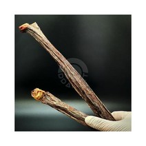 [도기플라워] 한우 소우신 스틱 플러스, 30cm