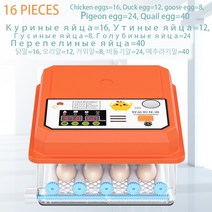 병아리부화기 자동 달걀 계란 부화기 새 메추라기 병아리 가금류 터너 농장 부화, 16 PCS EGG incubator+EU Plug