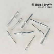 블라인드 리벳 브라인드 리베트 (알루미늄 스텐) 봉지 판매, 2.스텐, 4.8X20=200EA