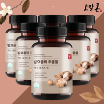 고말론 발효율피 추출물 맥스 플러스 정 1000mg x 60정, 6통+추가증정