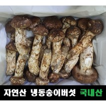 송이버섯 자연산 냉동 국내산, 2등급(7~12송이,크기랜덤) 500g