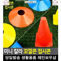 트레이닝 다양한 체육활동 멀티 꼬깔콘 축구용품사이트 축구아카데미 접시콘, 꼬깔콘 - 대