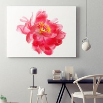 유홍아트 스윗 모란 No1 생동감 넘치는 모란 꽃 액자 6호 (5823839), 정사각형(32x32cm)