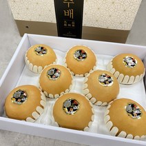 명품 나주배 선물용 가정용 선물세트 흡집배 못난이 배 5kg 7.5kg 15kg, 가정용 15kg(26-30과)