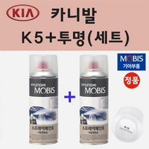 순정품 기아 카니발 K5 벨벳인디고블루 스프레이 페인트 + 투명스프레이 200ml